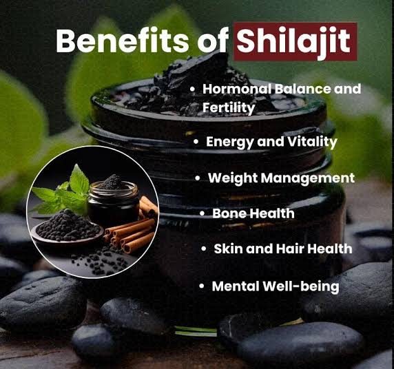 100 % Pure Himalayan Shilajit – Pure Vital SHilajit (شیلاجیت)
