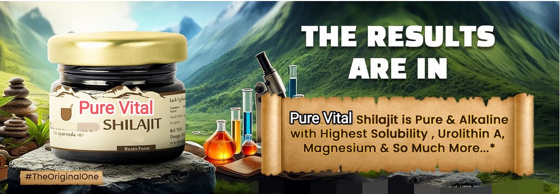 100 % Pure Himalayan Shilajit – Pure Vital SHilajit (شیلاجیت)